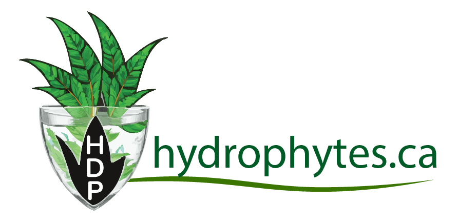 Hydrophytes Logo